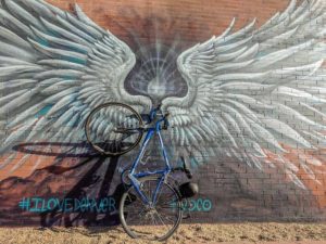 blucfier the bicycle