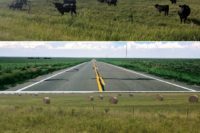 Kansas: Finding a Daily Oasis in the Windblown Desert of Grass