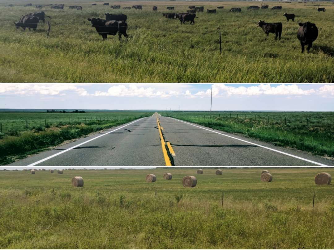 Kansas: Finding a Daily Oasis in the Windblown Desert of Grass